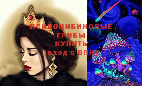 тгк Алзамай
